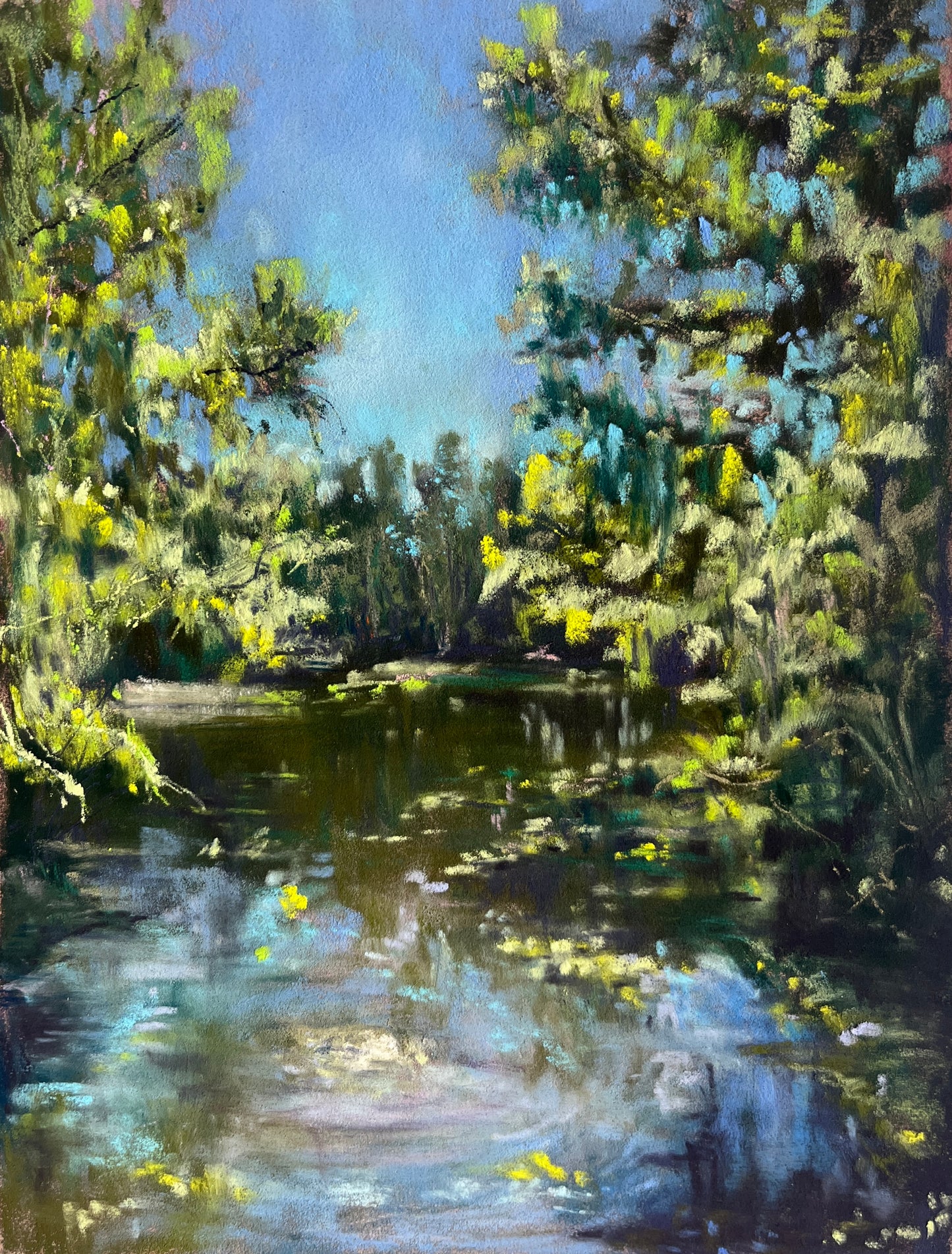 A Park, a Pond, and Several Trees with Great Posture