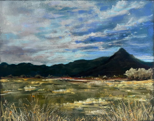 Scenes from the Passenger Seat