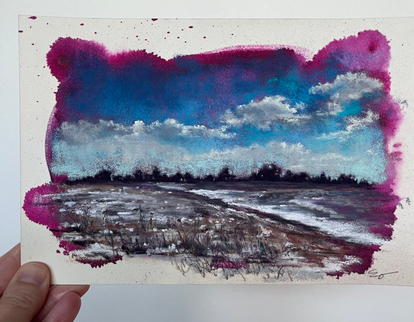 Winter Finds the Field