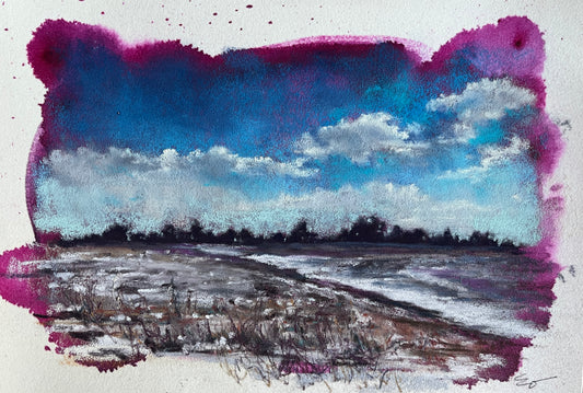 Winter Finds the Field